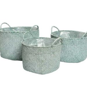seagrass-basket-cestos