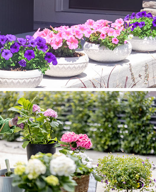 Sin-título-3 Decora tu terraza o jardín para la primavera: ideas frescas para mayo