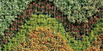 jardin-vertical01