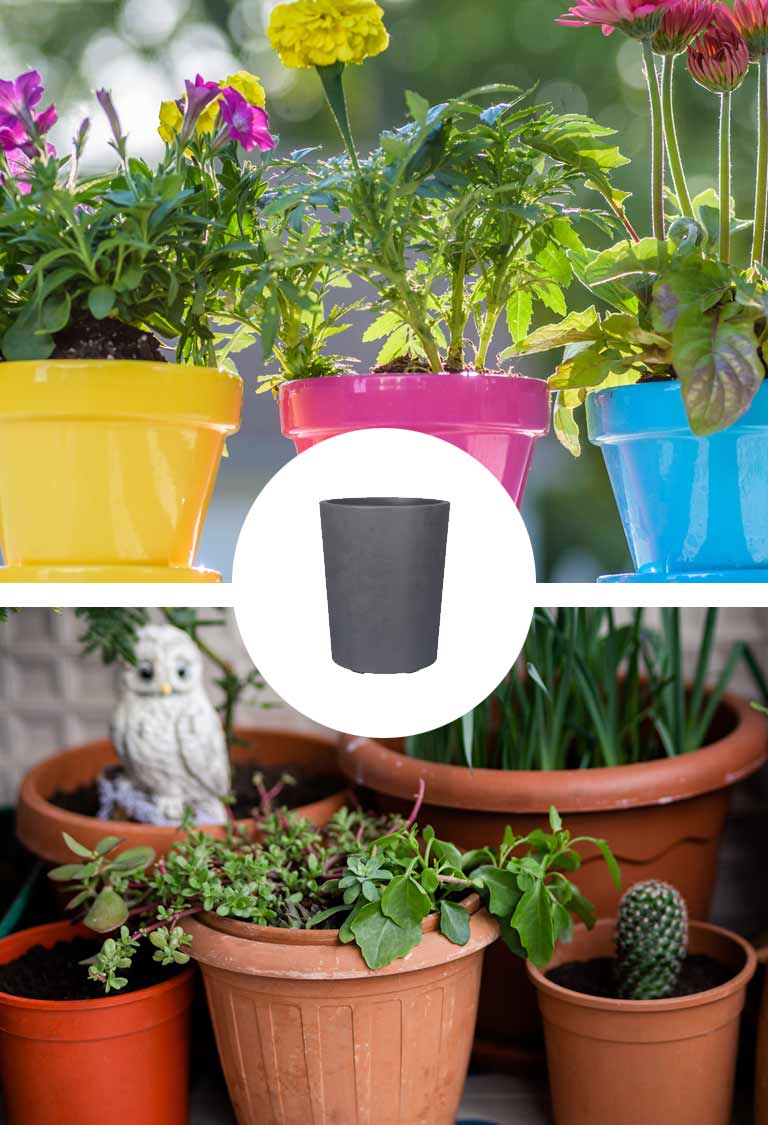¿Maceta de barro o plástico? Pros y contras para cada tipo de planta