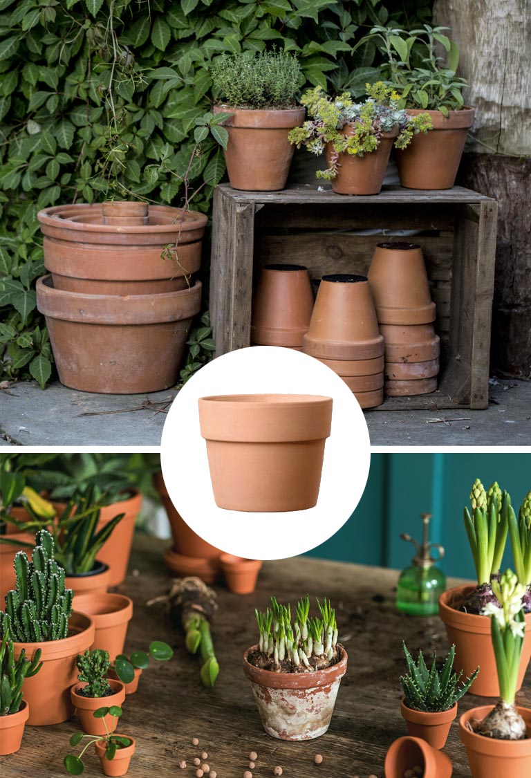 ¿Maceta de barro o plástico? Pros y contras para cada tipo de planta