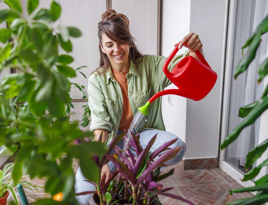 las-mejores-plantas-de-interior-para-principiantes03