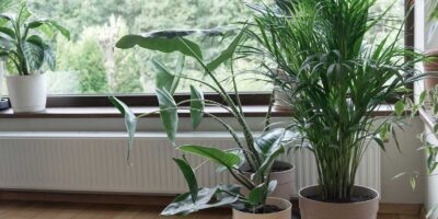 espacios-verdes-calefaccionyplatas-dest