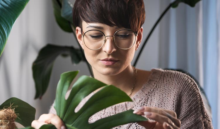 espacios-verdes-plagas-invernales02 Guía rápida de plagas invernales (y cómo prevenirlas sin productos agresivos)