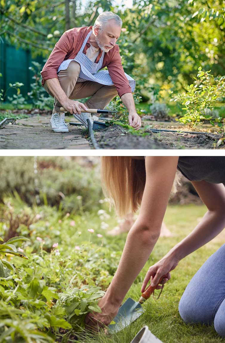 Labores de primavera: puesta a punto del césped después del invierno
