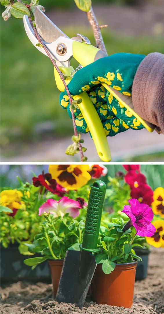 Las 7 herramientas de jardinería imprescindibles para cuidar tu jardín esta primavera