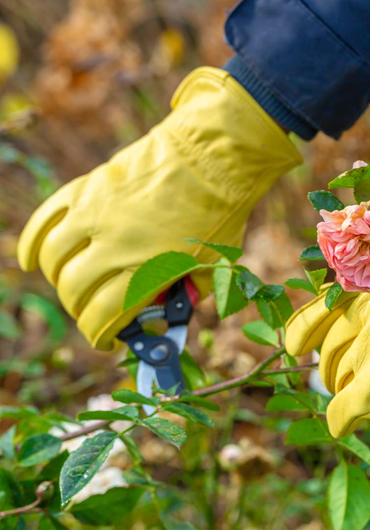 Las 7 herramientas de jardinería imprescindibles para cuidar tu jardín esta primavera