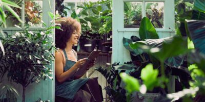 plantas-que-dan-sensacion-de-frescor-en-verano-dest