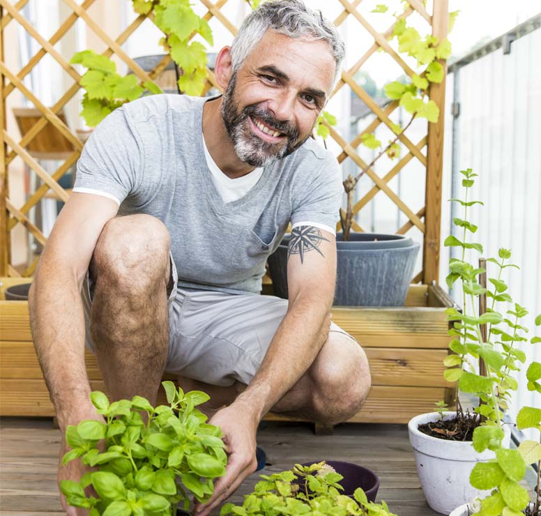 Cómo cuidar las plantas durante las vacaciones: consejos para que sobrevivan a tu ausencia